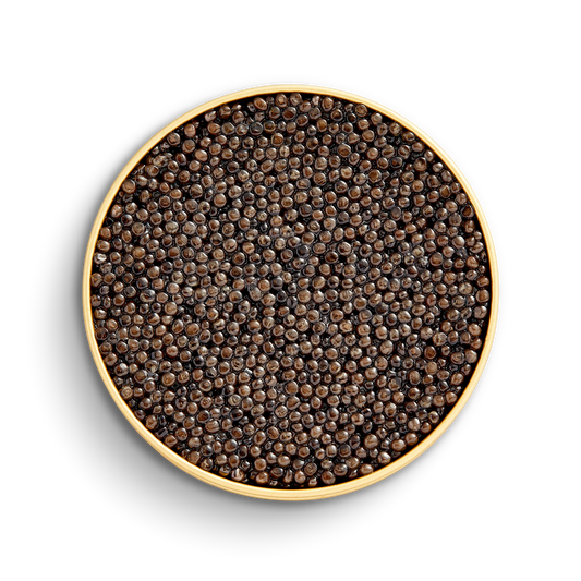 Caviar Iraní Oscetra Imperial
