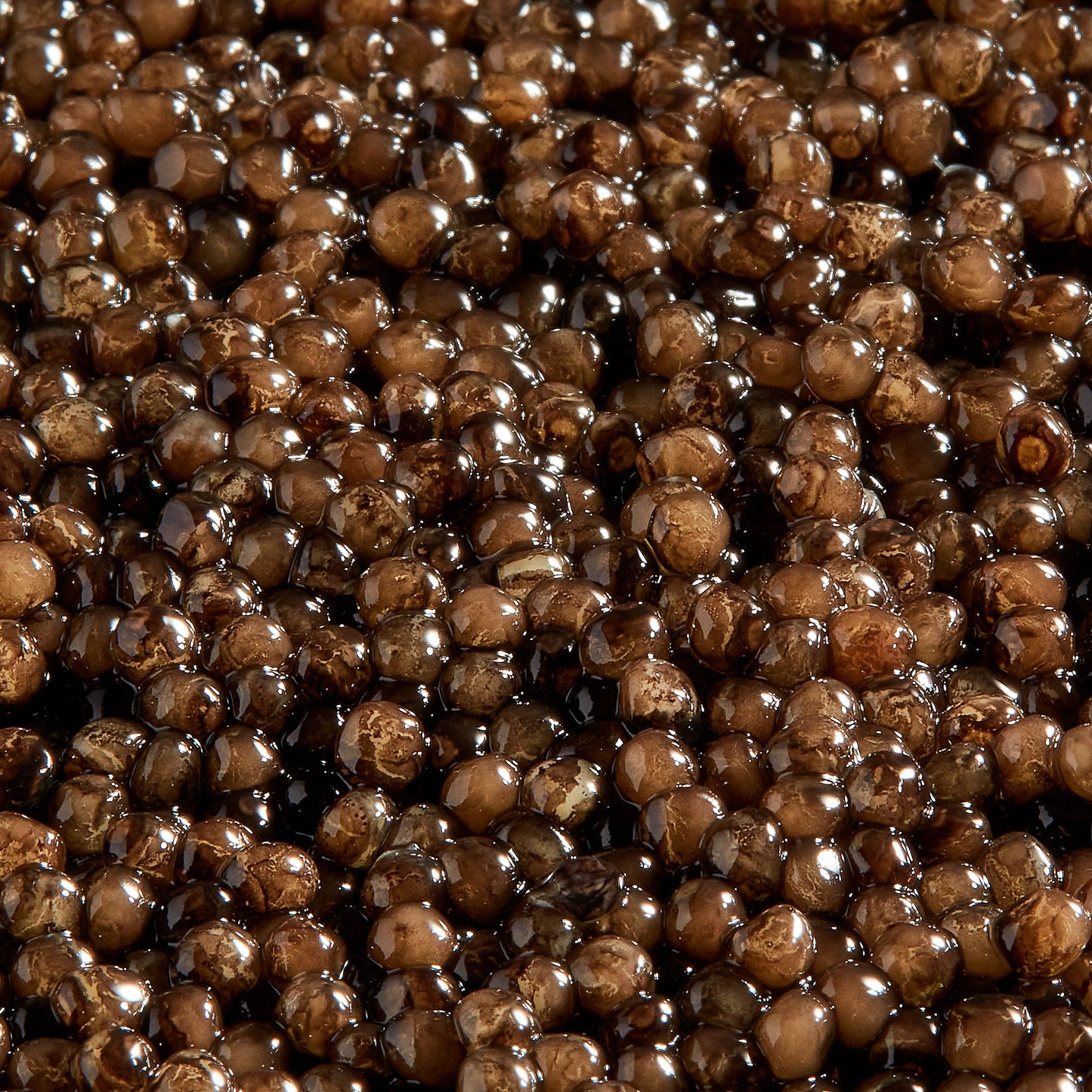 Caviar Iraní Oscetra Imperial