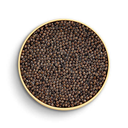 Caviar Iraní Oscetra Imperial
